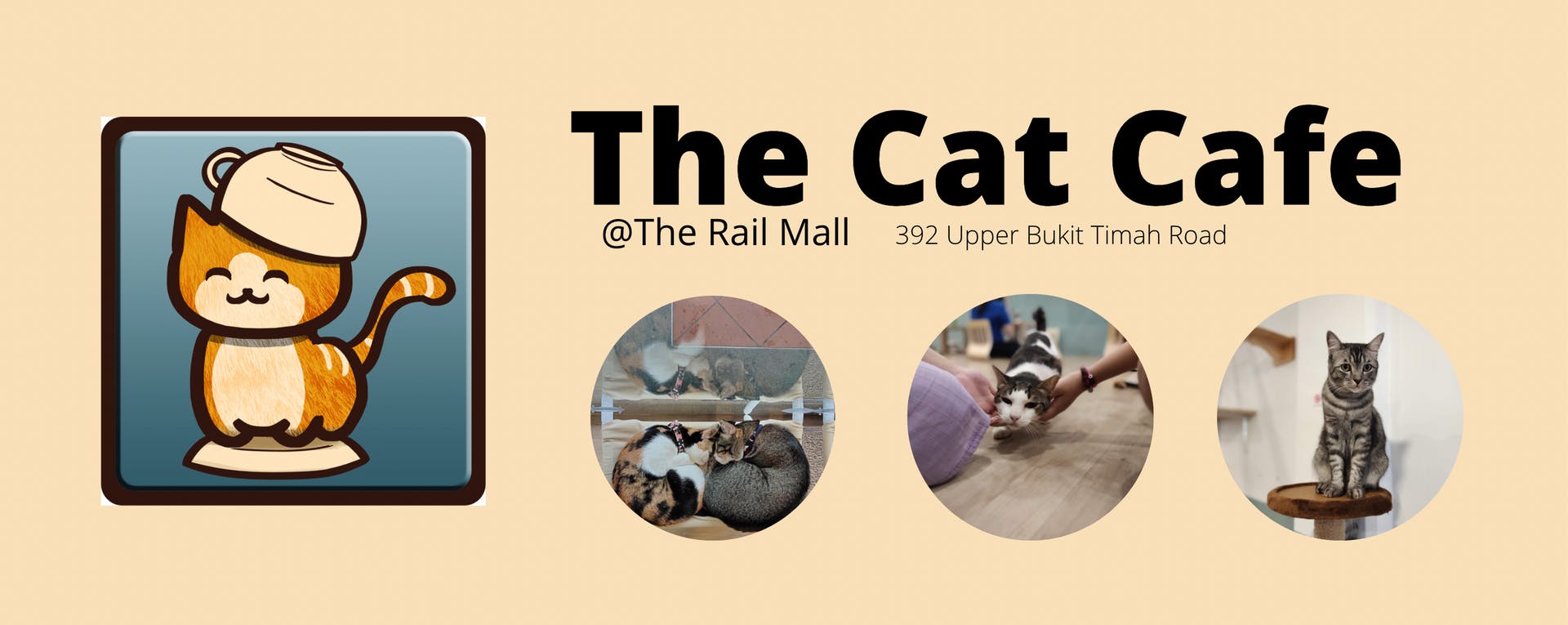 The Cat Cafe Book Now! inline online bookings